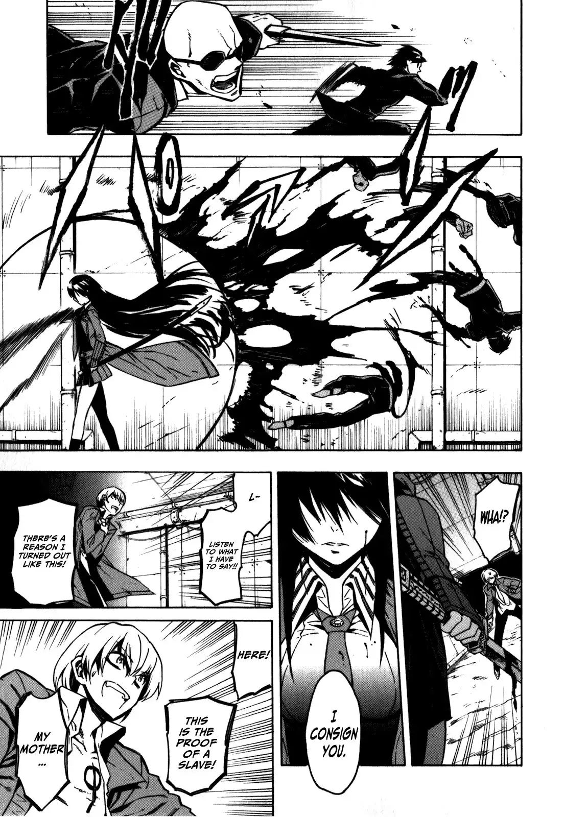 Akame ga Kill! Chapter 23.005 29